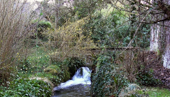 Veules les Roses (6)